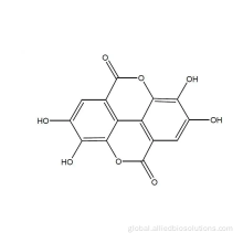 Organic Gallnut Extract dimeric derivative of gallic acid Ellagic acid Manufactory